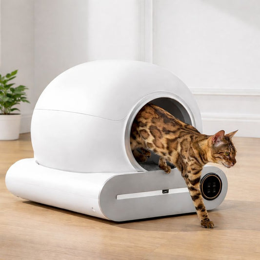 Litière Autonettoyante Connectée pour Chat – Gestion Intelligente du Nettoyage, des Odeurs et du Suivi